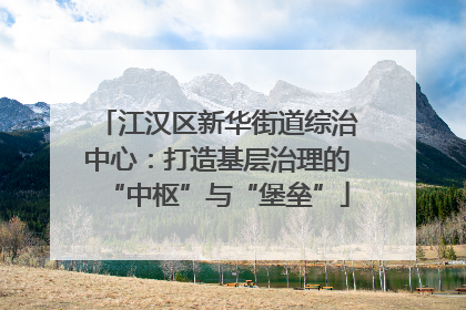 江汉区新华街道综治中心：打造基层治理的“中枢”与“堡垒”