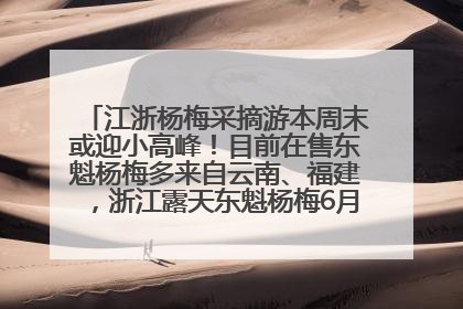 江浙杨梅采摘游本周末或迎小高峰！目前在售东魁杨梅多来自云南、福建，浙江露天东魁杨梅6月中旬大量上市