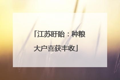 江苏盱眙：种粮大户喜获丰收