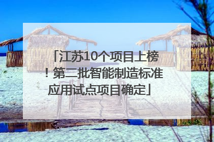 江苏10个项目上榜！第二批智能制造标准应用试点项目确定