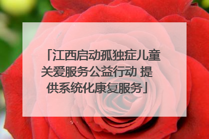江西启动孤独症儿童关爱服务公益行动 提供系统化康复服务