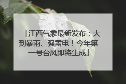 江西气象最新发布：大到暴雨、强雷电！今年第一号台风即将生成
