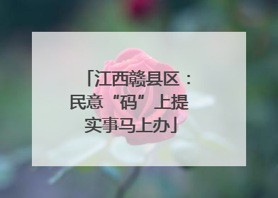江西赣县区：民意“码”上提 实事马上办