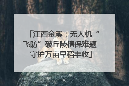 江西金溪：无人机“飞防”破丘陵植保难题 守护万亩早稻丰收