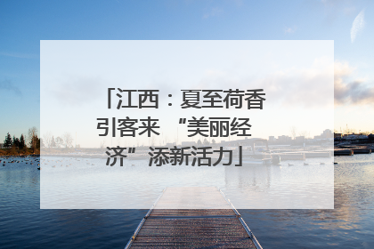 江西：夏至荷香引客来 “美丽经济”添新活力
