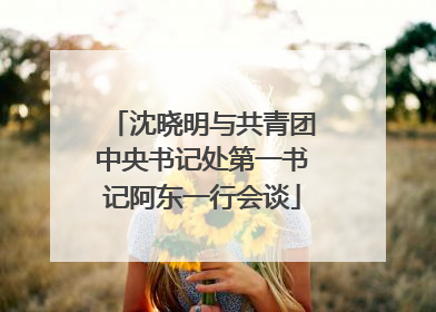沈晓明与共青团中央书记处第一书记阿东一行会谈