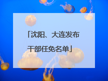 沈阳、大连发布干部任免名单