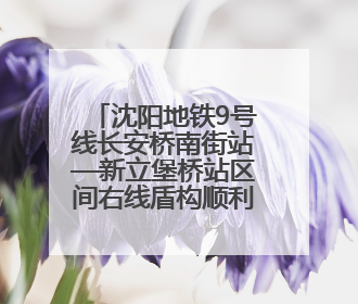 沈阳地铁9号线长安桥南街站—新立堡桥站区间右线盾构顺利始发