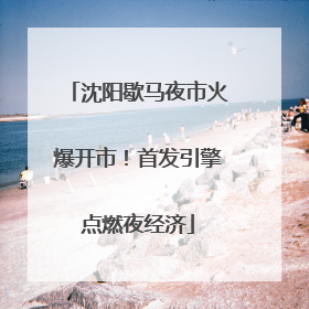 沈阳歇马夜市火爆开市！首发引擎点燃夜经济