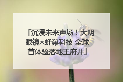 沉浸未来声场！大明眼镜×蜂巢科技 全球首体验落地王府井
