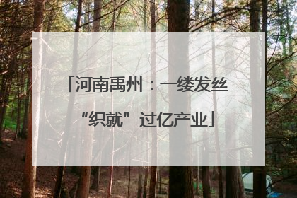 河南禹州：一缕发丝“织就”过亿产业