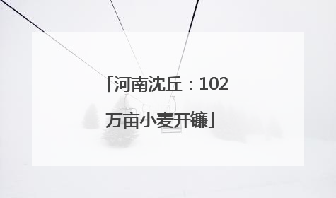 河南沈丘：102 万亩小麦开镰