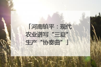 河南镇平：现代农业谱写“三夏”生产“协奏曲”