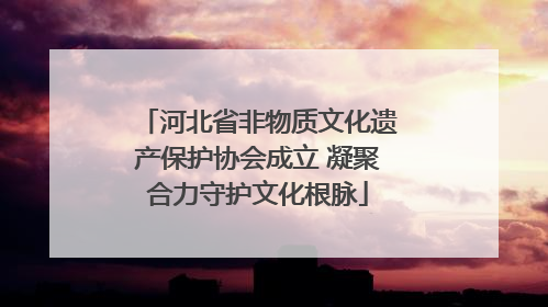 河北省非物质文化遗产保护协会成立 凝聚合力守护文化根脉