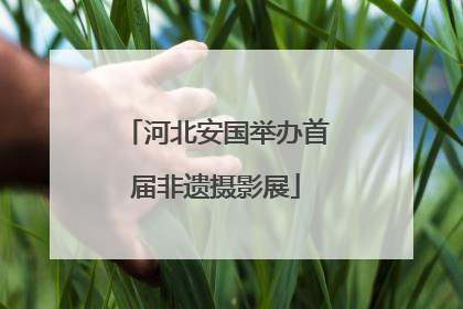 河北安国举办首届非遗摄影展