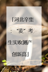河北辛集：“麦”考生实收测产创新高