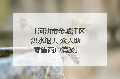 河池市金城江区洪水退去 众人助零售商户清淤