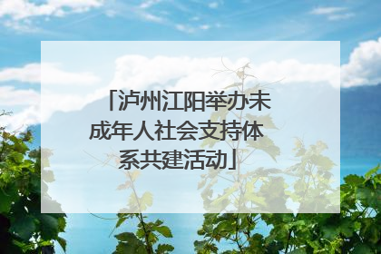泸州江阳举办未成年人社会支持体系共建活动