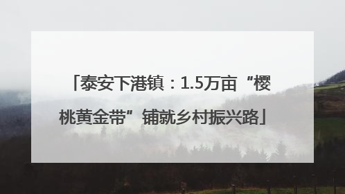 泰安下港镇：1.5万亩“樱桃黄金带”铺就乡村振兴路