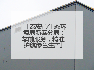 泰安市生态环境局新泰分局：靠前服务，精准护航绿色生产