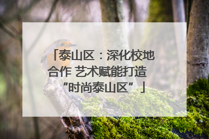 泰山区：深化校地合作 艺术赋能打造“时尚泰山区”