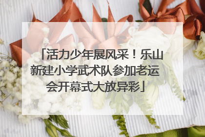 活力少年展风采！乐山新建小学武术队参加老运会开幕式大放异彩