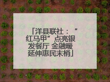 洋县联社：“红马甲”点亮银发餐厅 金融暖延伸惠民末梢
