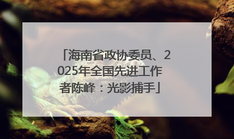 海南省政协委员、2025年全国先进工作者陈峰：光影捕手