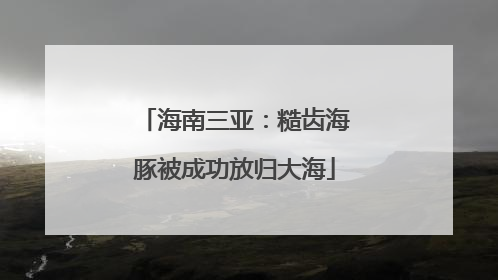 海南三亚：糙齿海豚被成功放归大海