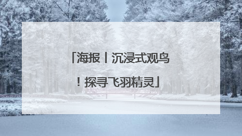 海报丨沉浸式观鸟！探寻飞羽精灵