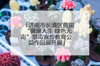 济南市长清区首届“健康人生 绿色无毒”禁毒宣传教育公益作品展开展