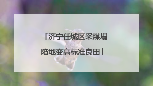 济宁任城区采煤塌陷地变高标准良田