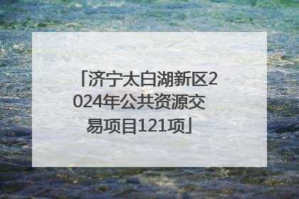 济宁太白湖新区2024年公共资源交易项目121项