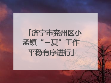 济宁市兖州区小孟镇“三夏”工作平稳有序进行