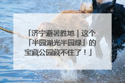济宁避暑胜地｜这个「半园湖光半园绿」的宝藏公园藏不住了！