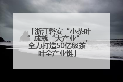 浙江磐安“小茶叶”成就“大产业”，全力打造50亿级茶叶全产业链