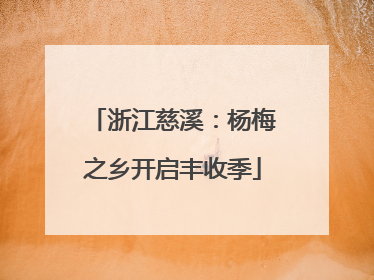 浙江慈溪：杨梅之乡开启丰收季