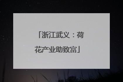 浙江武义：荷花产业助致富