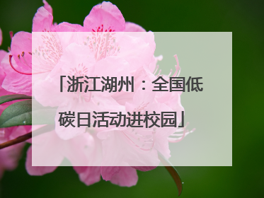 浙江湖州：全国低碳日活动进校园