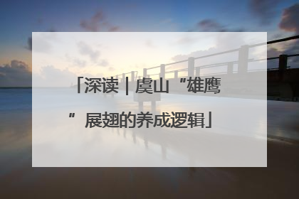 深读｜虞山“雄鹰”展翅的养成逻辑