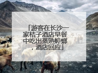 游客在长沙一家桔子酒店早餐中吃出蒸熟蟑螂，酒店回应