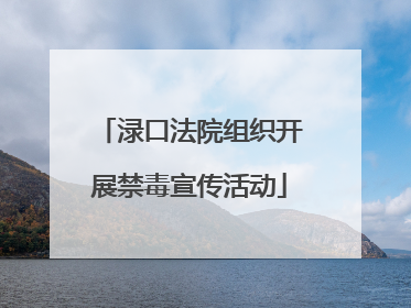 渌口法院组织开展禁毒宣传活动
