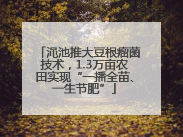 渑池推大豆根瘤菌技术，1.3万亩农田实现“一播全苗、一生节肥”