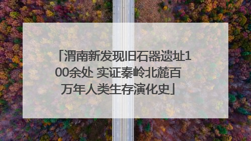 渭南新发现旧石器遗址100余处 实证秦岭北麓百万年人类生存演化史