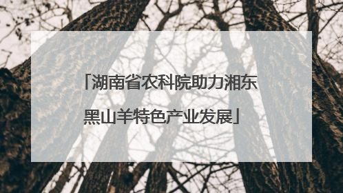 湖南省农科院助力湘东黑山羊特色产业发展