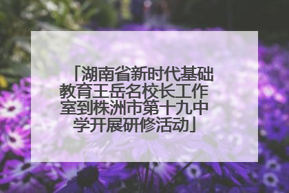 湖南省新时代基础教育王岳名校长工作室到株洲市第十九中学开展研修活动