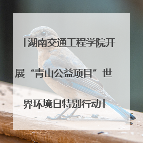 湖南交通工程学院开展“青山公益项目”世界环境日特别行动