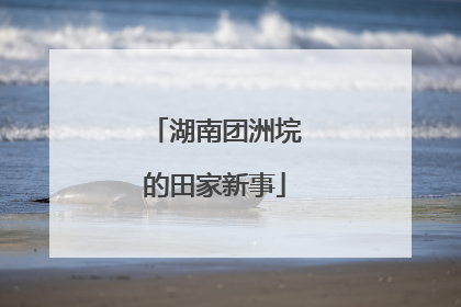 湖南团洲垸的田家新事