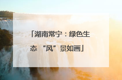 湖南常宁：绿色生态 “风”景如画
