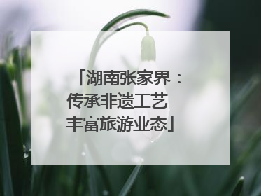 湖南张家界:传承非遗工艺 丰富旅游业态